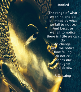 Mindfulness R.D. Laing